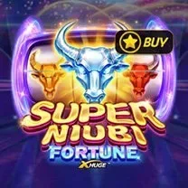 Aplicativo De Login Do Crashino Casino